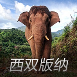原路返回！本赛季英超降级队全部诞生 三支升班马回英冠